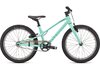 Specialized Jett 20 Single Speed GLOSS OASIS / FOREST GREEN 20